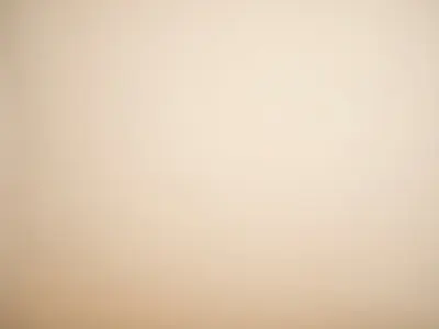 Warm beige headshot background