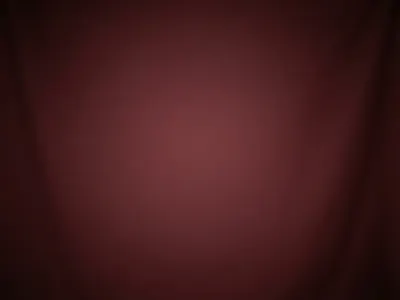 Burgundy headshot background