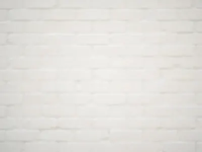 White brick headshot background